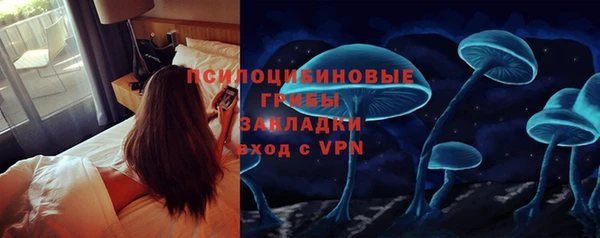 ГАЛЛЮЦИНОГЕННЫЕ ГРИБЫ Алексеевка