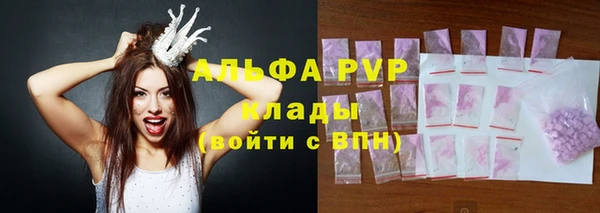 сатива Новозыбков