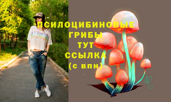 метамфетамин Алексин