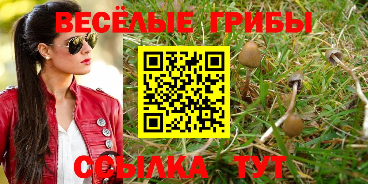 Псилоцибиновые грибы ЛСД  Вход с VPN  Ухта  Псилоцибиновые грибы Psilocybine cubensis 