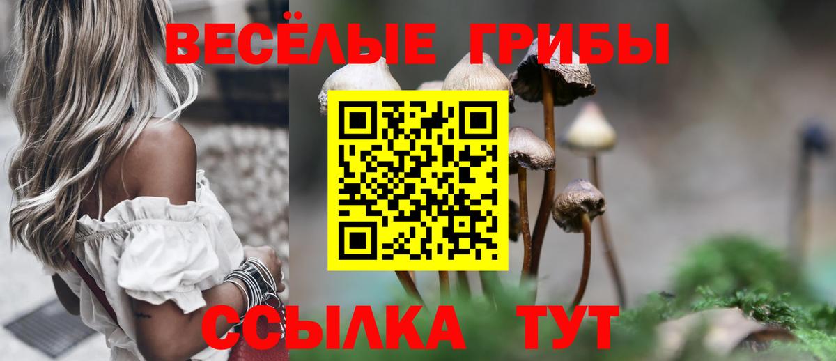 Псилоцибиновые грибы GOLDEN TEACHER Ухта